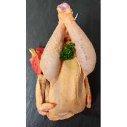 Poulet issu d'une...