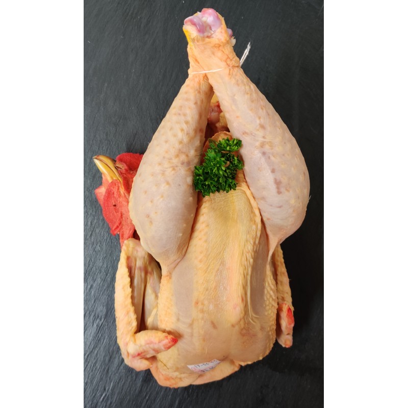 Poulet issu d'une agriculture biologique Poulet issu d'une agriculture biologique