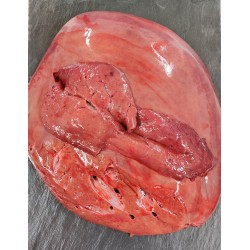 Foie de boeuf