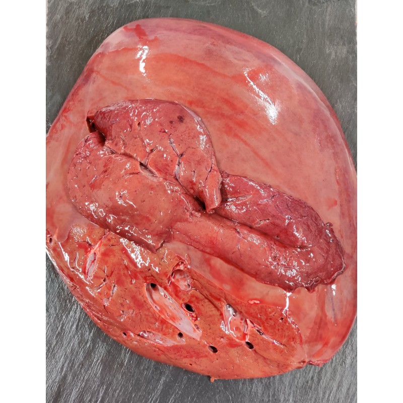Foie de boeuf Foie de boeuf