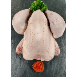 Poulet noir